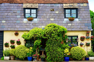 English Cottage Garden